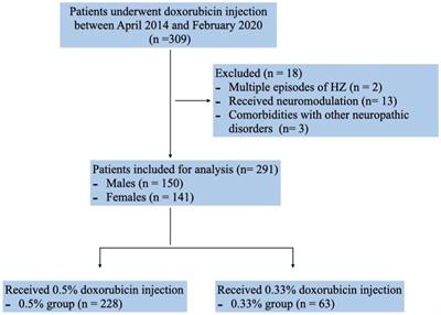 CT-guided paravertebral injection of doxorubicin for treatment of postherpetic neuralgia: a database-based retrospective stratified study